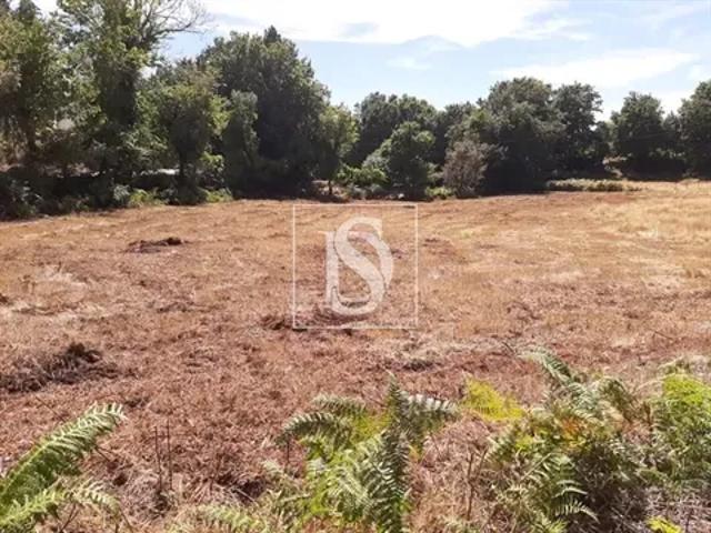 Terreno venda em Parada Do Bouro, Braga