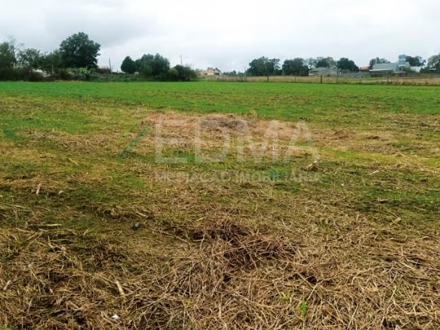 Terreno venda em Campas, Gavião