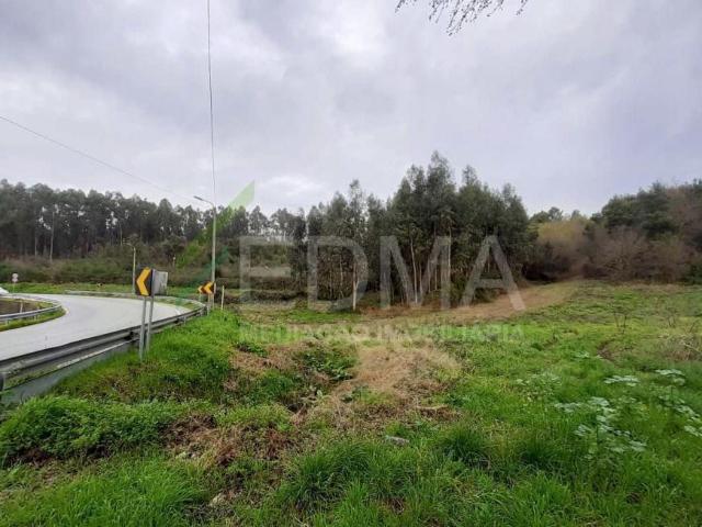Terreno venda em Gavião, Braga