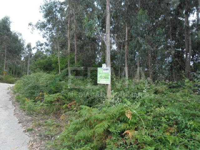 Terreno venda em Gavião, Braga