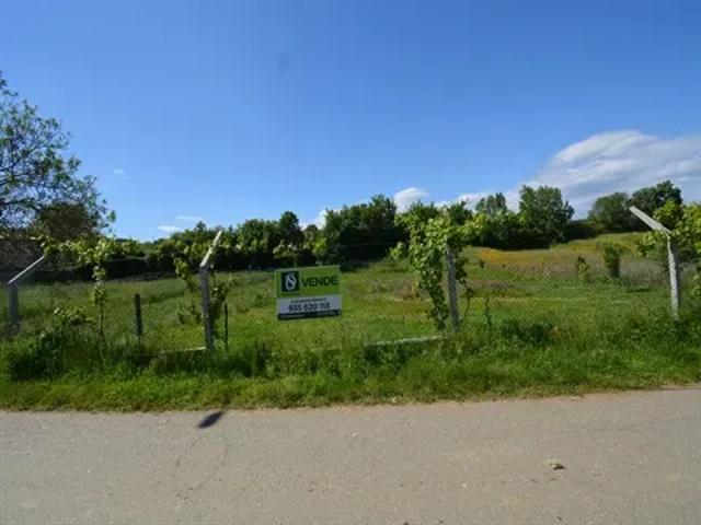 Terreno venda em Bragança