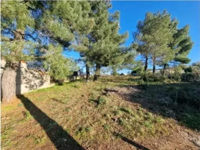 Terreno venda em Bragança