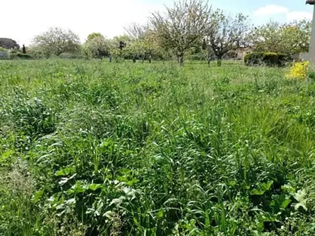 Terrain vente à Muret, Bragayrac