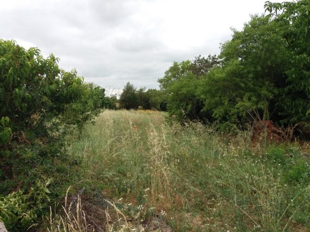 Terrain vente à Muret, Bragayrac
