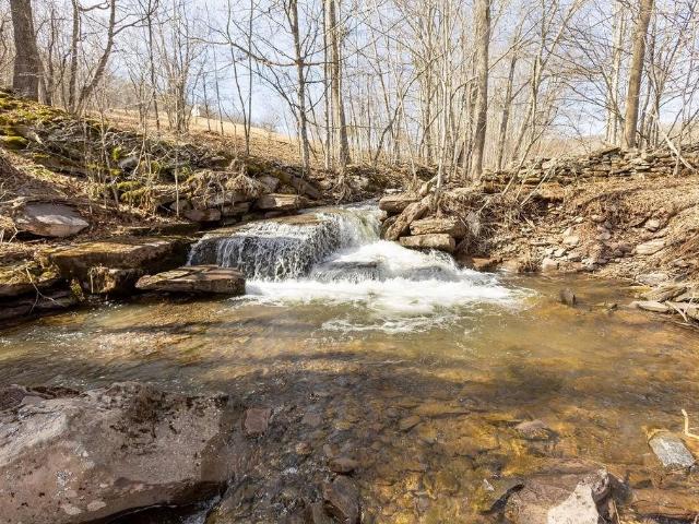 Land for sale in New York