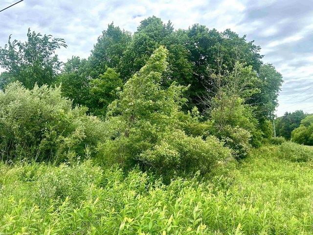 Land for sale in Michigan