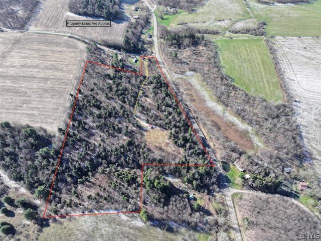Land for sale in Cherry Creek, New York