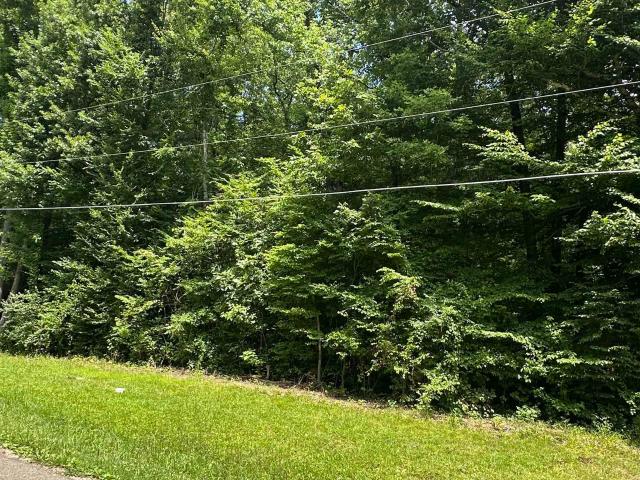 Land for sale in Tennessee