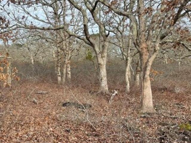 Land for sale in West Tisbury, Massachusetts