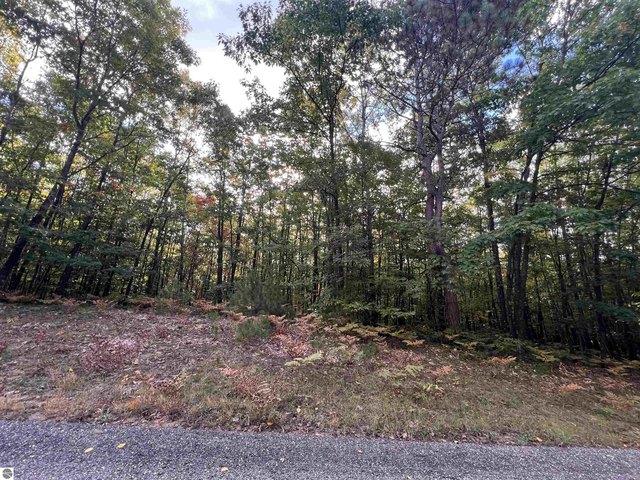 Land for sale in Cadillac, Wexford County