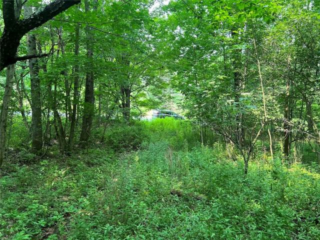 Land for sale in Bloomville, New York