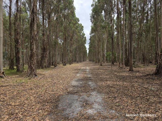 Acreage for sale in Kalgan, Western Australia