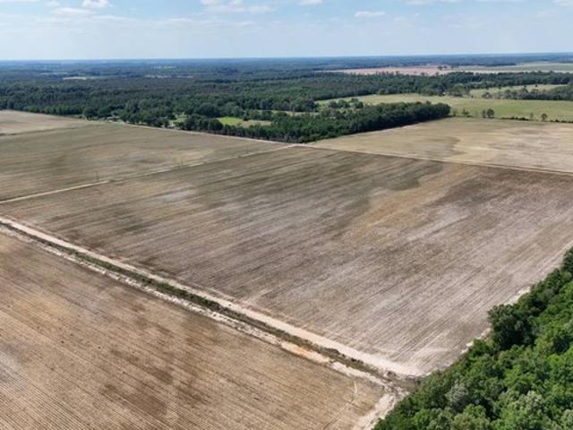 Land for sale in Oak Grove, Louisiana
