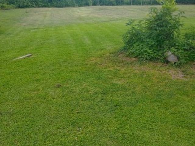 Land for sale in Wharton, Wharton County