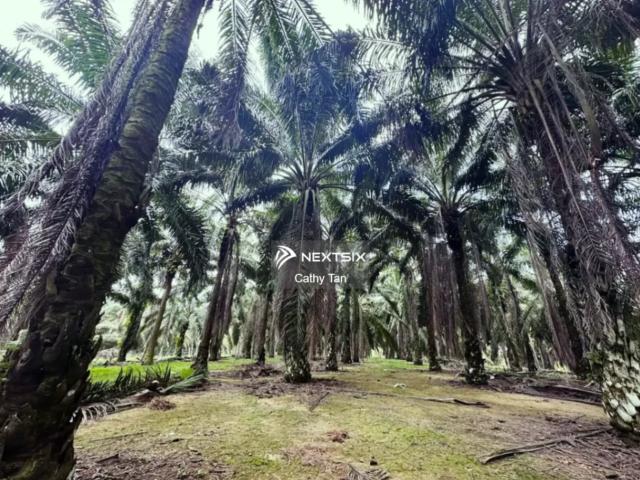 Residential House for sale in Selangor