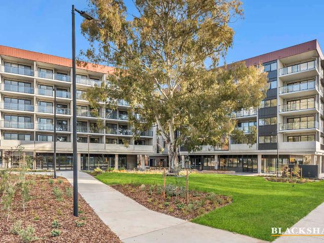 House for rent in Canberra, Australian Capital Territory