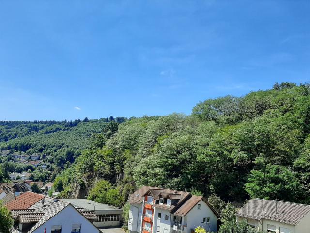 Apartment mieten in Heidelberg, Peterstal
