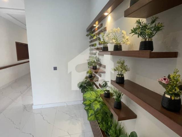 House for rent in Islamabad