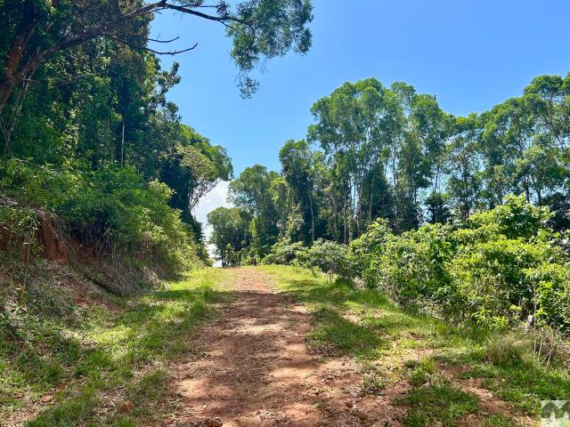 Property for sale in Mena Creek, Queensland