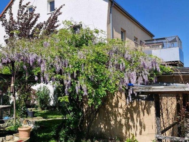 Haus kaufen in Polenz, Brandis