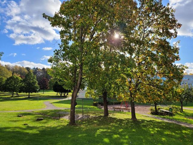 Lägenhet hyra i Nyköping, Södermanland