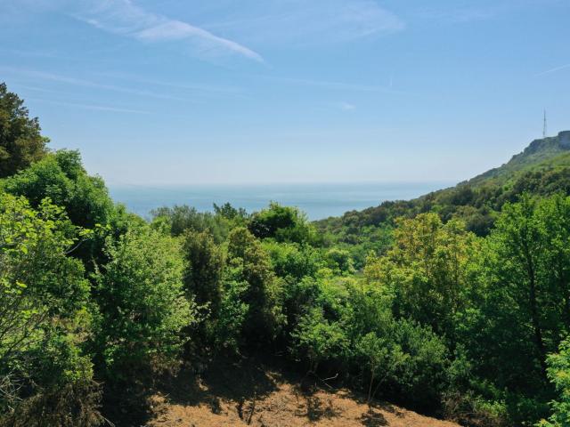 Terrain vente à Bastia, Brando