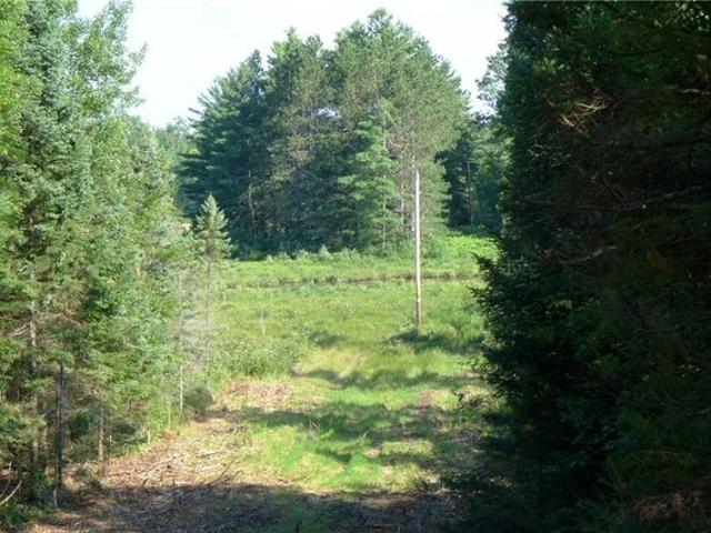 Land for sale in Sawyer, Wisconsin