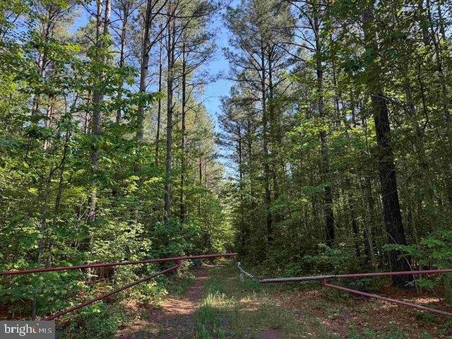 Land for sale in Virginia
