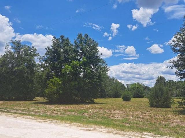 Land for sale in Florida