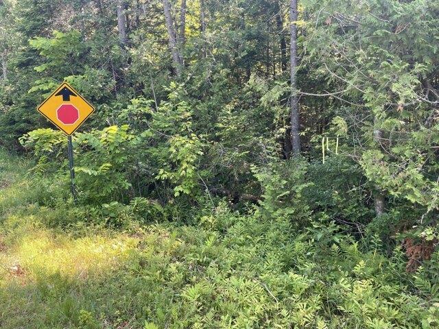 Land for sale in Levant, Maine