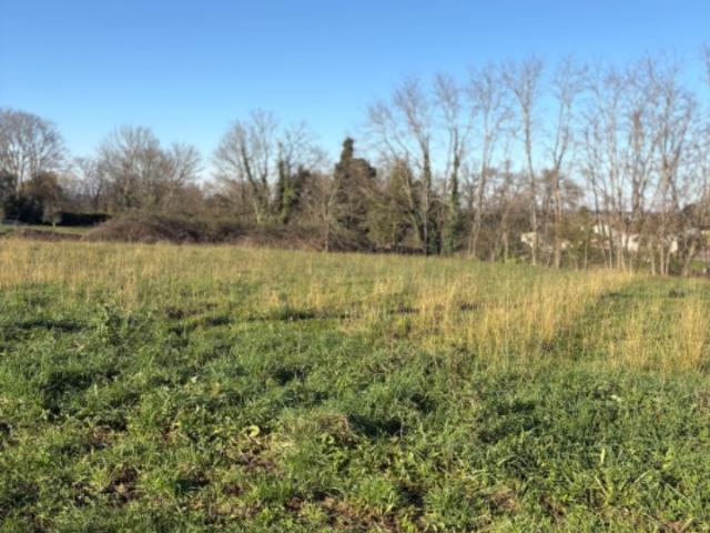 Terrain vente à Libourne, Branne