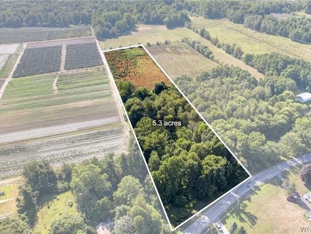 Farm for sale in Brant, New York