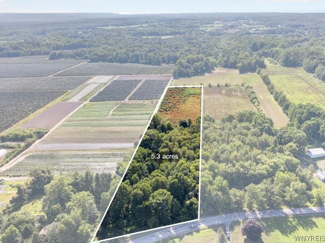 Land for sale in Town of Brant, Erie County