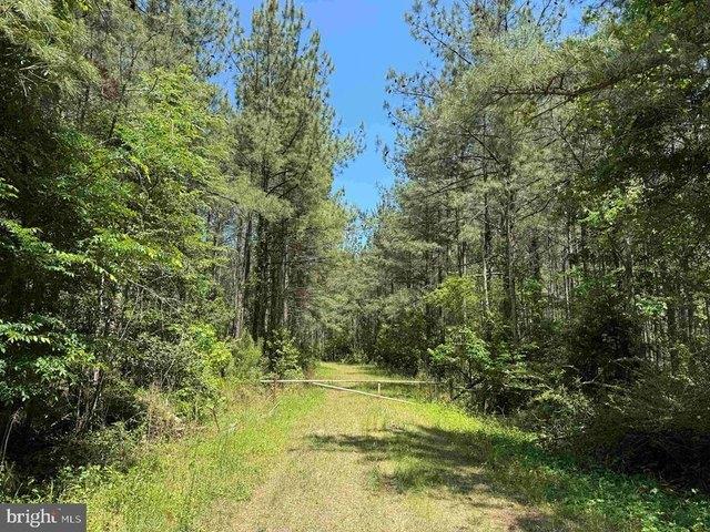 Land for sale in Virginia