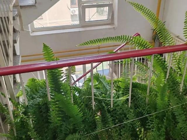 Apartament închirieri în Sector 6, București