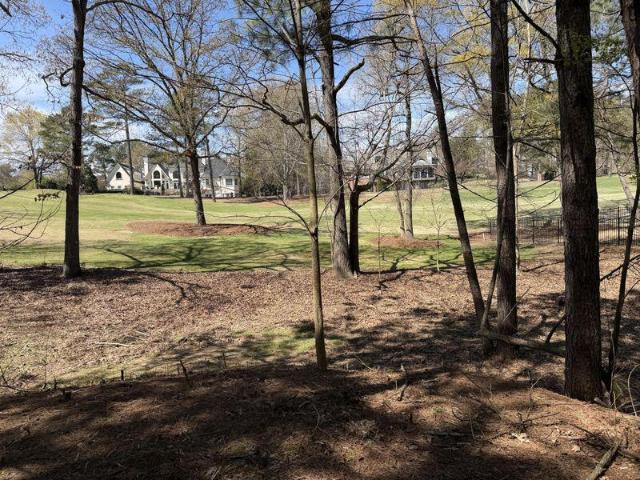Land for sale in Braselton, Georgia