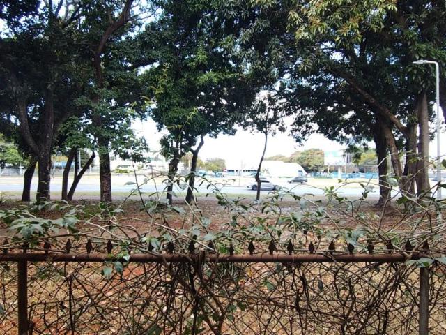 Apartamento aluguel em SQS 408, Plano Piloto