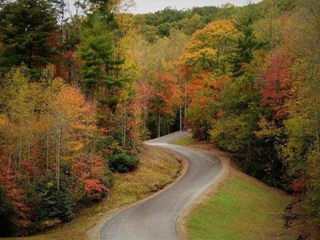 Land for sale in Brasstown, North Carolina