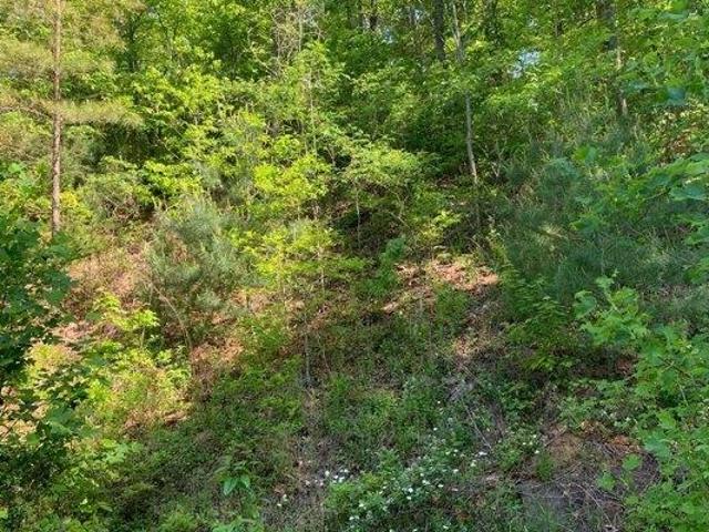 Land for sale in Brasstown, North Carolina