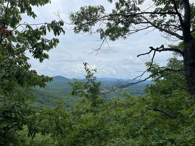 Land for sale in Brasstown, North Carolina