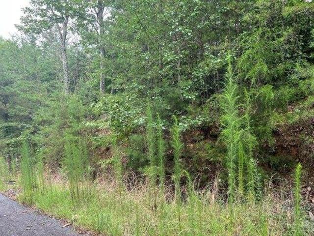 Land for sale in Brasstown, North Carolina