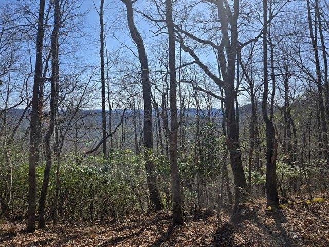 Land for sale in Cullowhee, Jackson County