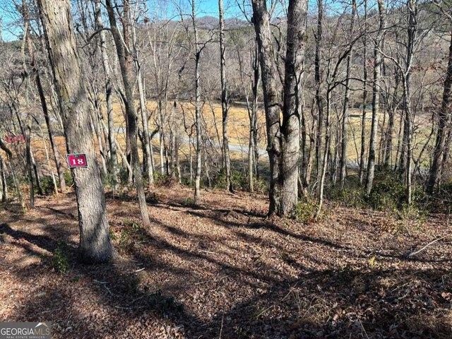 Land for sale in Warne, North Carolina
