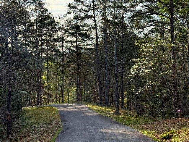 Land for sale in Warne, North Carolina