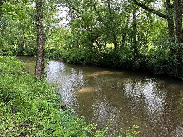 Land for sale in Warne, North Carolina