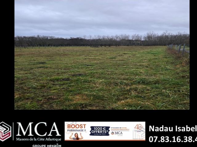 Terrain vente à France métropolitaine, Braud-et-saint-louis