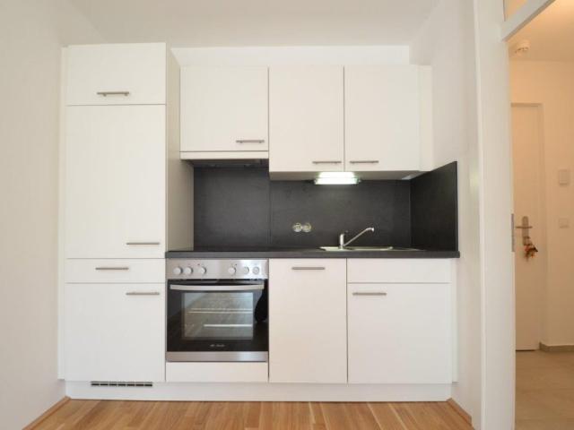 Apartment mieten in Katastralgemeinde Rudersdorf, Graz