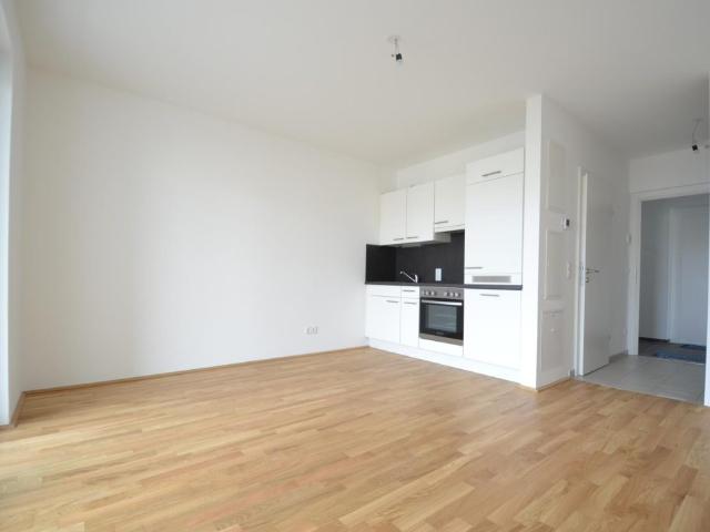Apartment mieten in Katastralgemeinde Rudersdorf, Graz