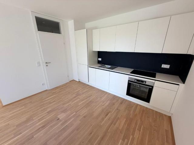 Apartment mieten in Katastralgemeinde Rudersdorf, Graz