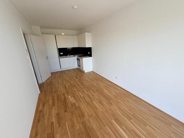 Apartment mieten in Katastralgemeinde Gries, Graz